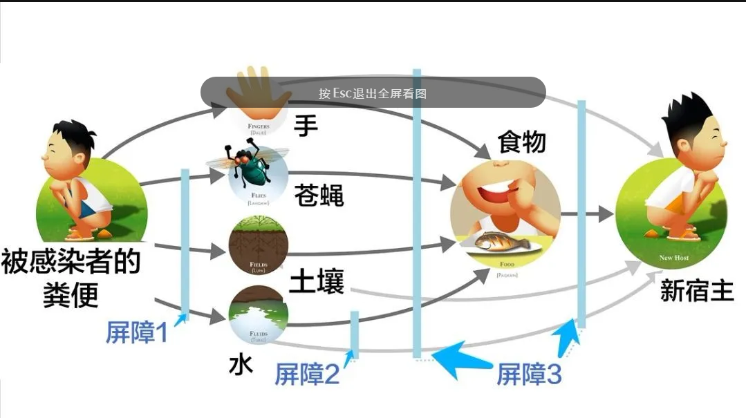 粪便分析仪有什么作用