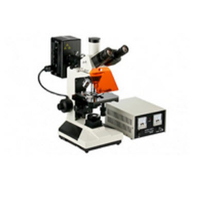 三目电脑型荧光生物显微镜 VMF20A