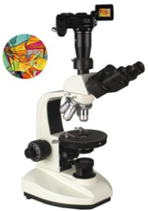 数码型偏光显微镜 XP-203D