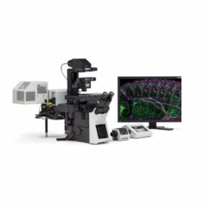 激光扫描共聚焦显微镜 FV1200