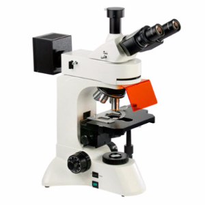荧光显微镜 LW300LFT（LED）