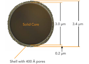 液相色谱柱 BIOCLASS Protein