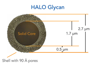 液相色谱柱 BIOCLASS Glycan