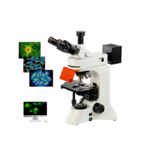 研究型LED正置荧光显微镜 YZF-80