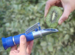 手持式糖分计  JZ-32