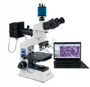 正置金相显微镜 BH-200M