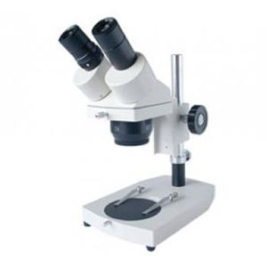 体视显微镜 XT-III(L)