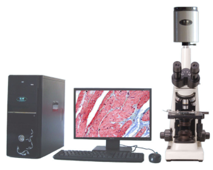 迈朗高倍智能变焦数码显微分析仪  sj-tmdi810（II）