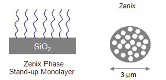 SEC色谱柱     Zenix