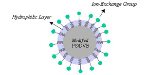 色谱柱   Proteomix