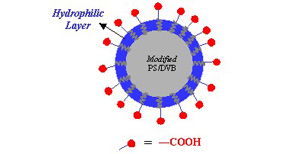 离子交换色谱柱  Antibodix