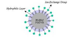 色谱柱   Proteomix CV-1