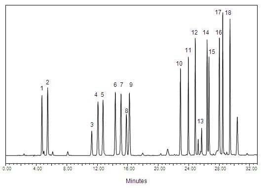 氨基酸专用柱    Sepax AAA