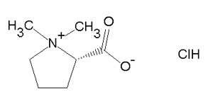 益母草专用柱   Polar-Propylamide