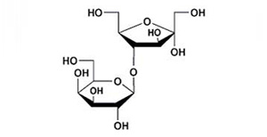 乳糖专用柱   Lac-Amino
