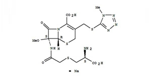 头孢聚合物专用柱   Cef-SEC