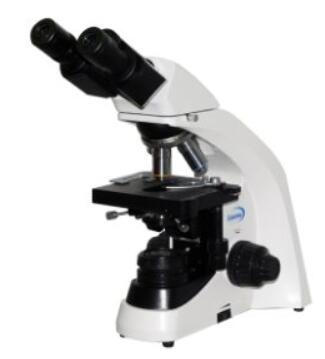 彼 高级透反射显微镜 BM-SG12BD(明暗场)