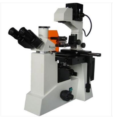 彼爱姆 电脑倒置荧光显微镜 BM-39YD