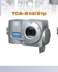 防爆气体分析仪 TCA51d/51p