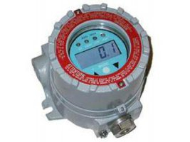 有机气体检测仪   RAEGuard PID