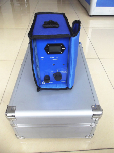 甲醛分析仪 4160-II