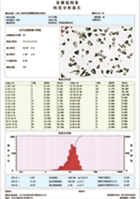 LIRI-2006颗粒图像分析仪测试结果图片