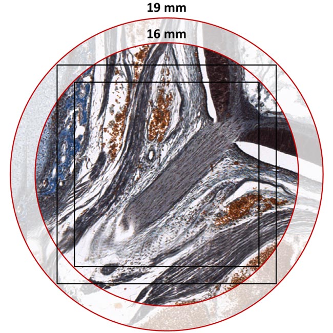 DM4&nbsp;B&nbsp;&&nbsp;DM6&nbsp;B宽视场