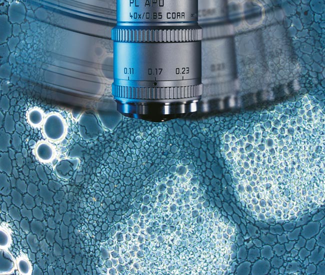 DM4&nbsp;B&nbsp;&&nbsp;DM6&nbsp;B一键更换对比度