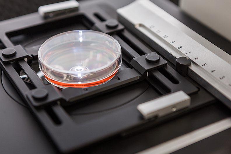 Primovert各式支架