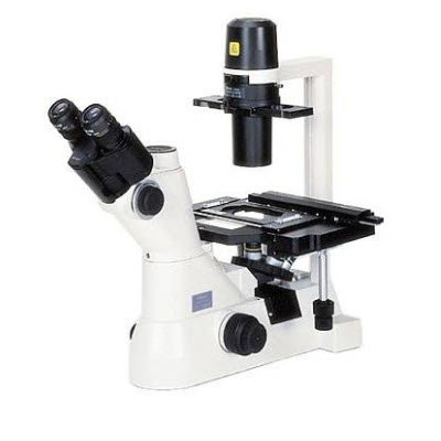 常规倒置显微镜 TS100/TS100-F