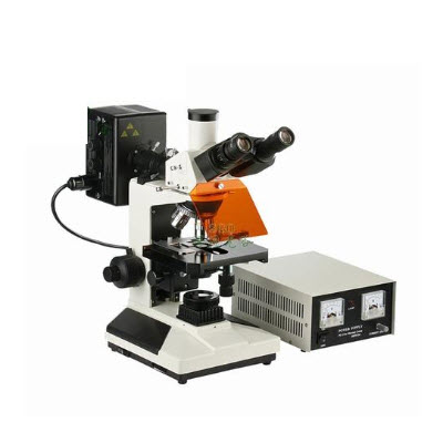 荧光显微镜 SGO-YG1