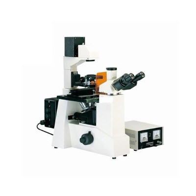 荧光显微镜 SGO-YG3