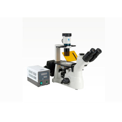实验室用科研级倒置荧光显微镜 DM-61C