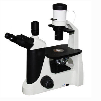 倒置荧光显微镜  DM-10