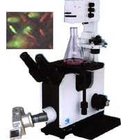 数码型倒置显微镜 XDS-220D