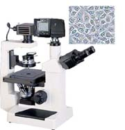 数码型倒置显微镜 XDS-200D