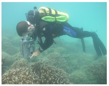 水下光谱仪 SVC HR-512i/GER-1500