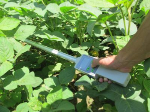 植物冠层测量仪 MC-S01