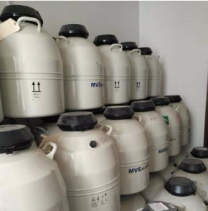 液氮转移罐 LAB30