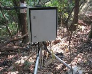 植物茎流叶温监测系统 ENVIdata-DT