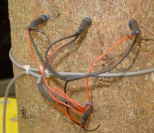 探针式植物茎流测量系统 SF-L