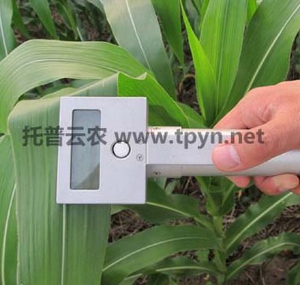 光合作用测定仪 3051D