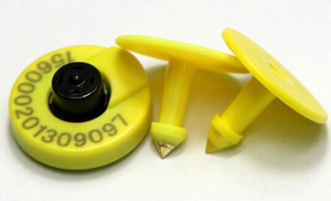 电子猪耳标 GZTAG-B001