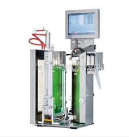 Lux Flatpanel 发酵罐 Labfors 5