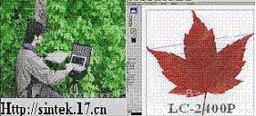 叶面积分析仪 LC-2400P