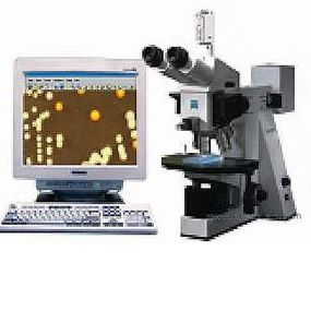 菌落克隆计数 Colony Count