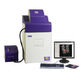 凝胶成像系统 iBox Scientia 500
