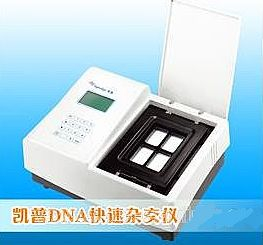 分子杂交仪（教育） HHM-01B