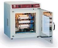 分子杂交箱 GFL 7601