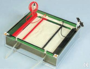 等电聚焦电泳仪 IEF-SYS